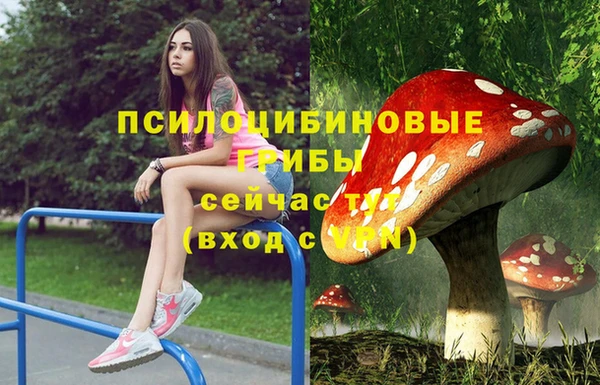соль курить ск Аркадак