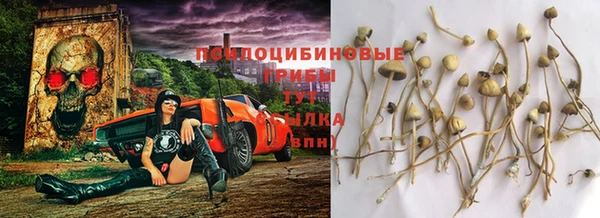 стаф Армянск