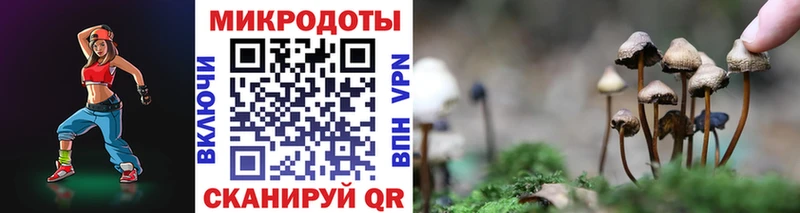 Псилоцибиновые грибы Psilocybine cubensis  сколько стоит  Ясный 